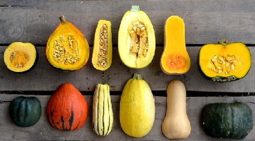 Some Varieites of Winter Squash